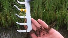 Tauw begeleidt Waternet bij slootmonitoring door boeren
