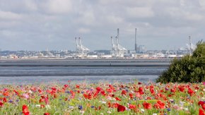 Stikstofbeleid: gevolgen voor de industrie