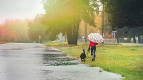 Symposium Climate Adaptation Northern Netherland: Tauw verzorgt lezing over klimaat en stad