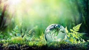 Carbon footprinting voor verantwoord investeren