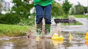 Stresstest moet gemeenten klimaatbestendig maken